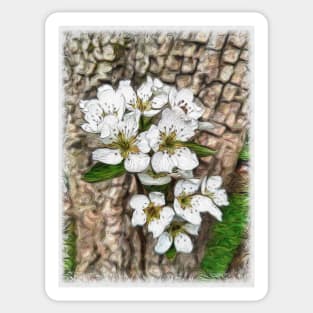 Pear Tree blossom Sticker